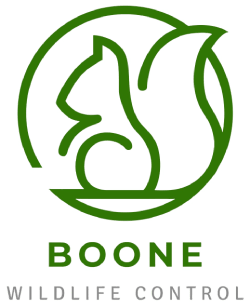 Logo for Boone Wildlife Control